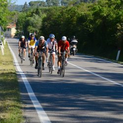 DSC_9444