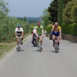 IMGP4629