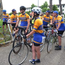DSD_8019_00001
