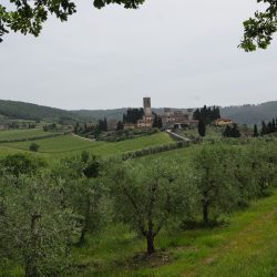 La-Certosina-2024-Foto-Giordano-Cioli-117